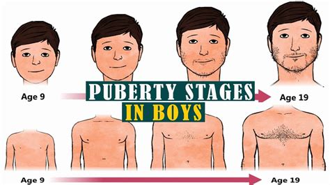 tiny teen pics|Stages of Puberty Explained in Pictures